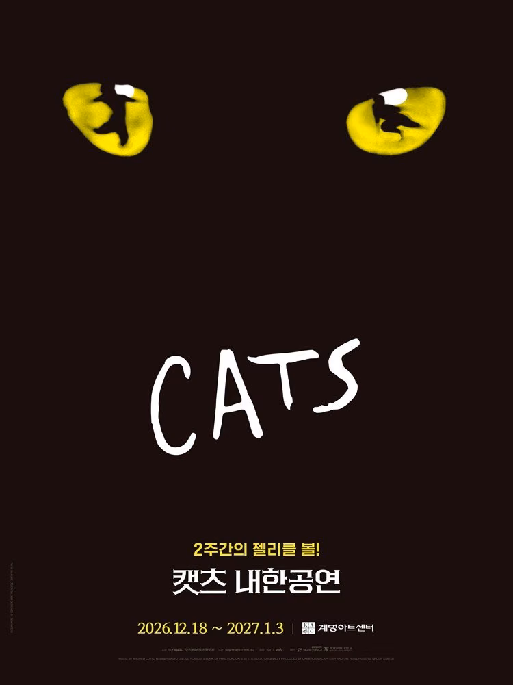 뮤지컬 〈캣츠〉 내한공연 - 대구 (Musical CATS) 공식 포스터