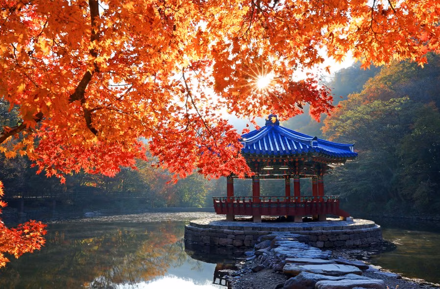2026 내장산 단풍철 탐방 안내 공식 포스터